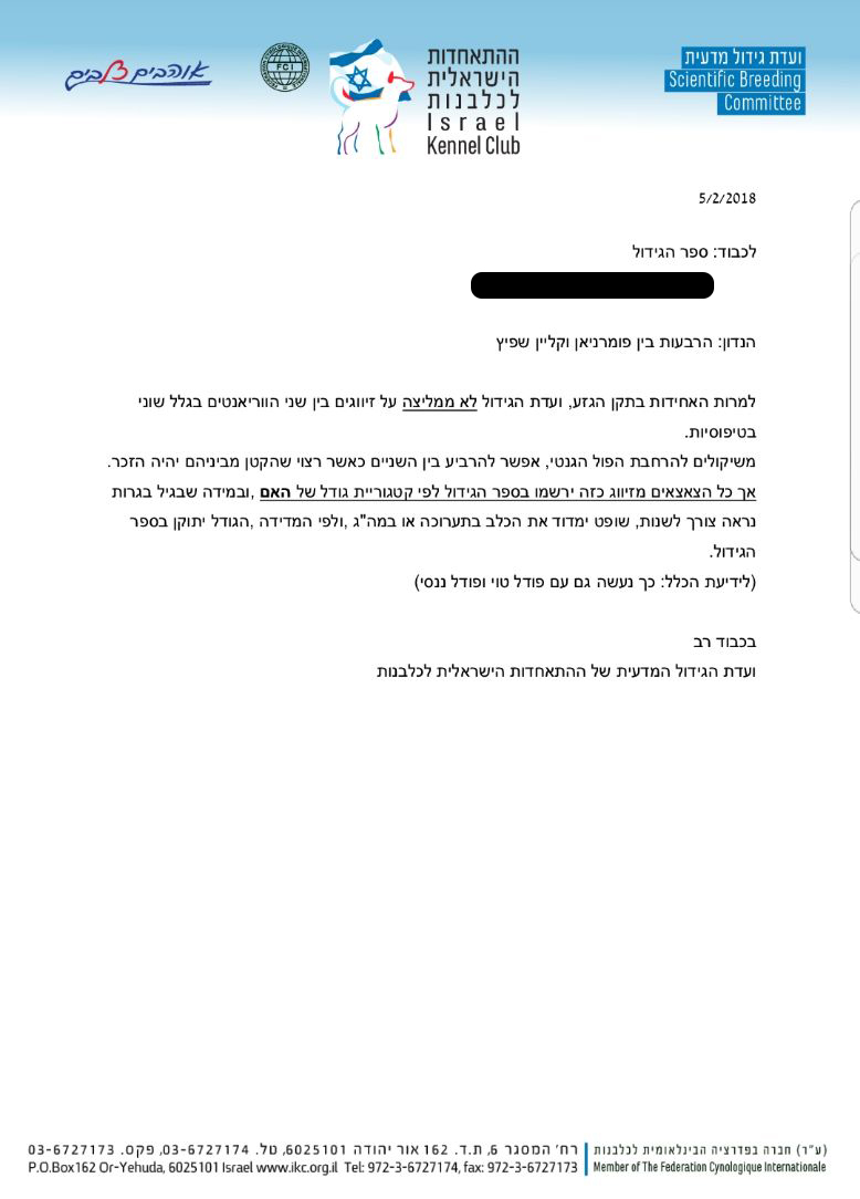 Read more about the article הנחיית הרבעות בין פומרניין וקליין שפיץ מטעם ההתאחדות הישראלית לכלבנות