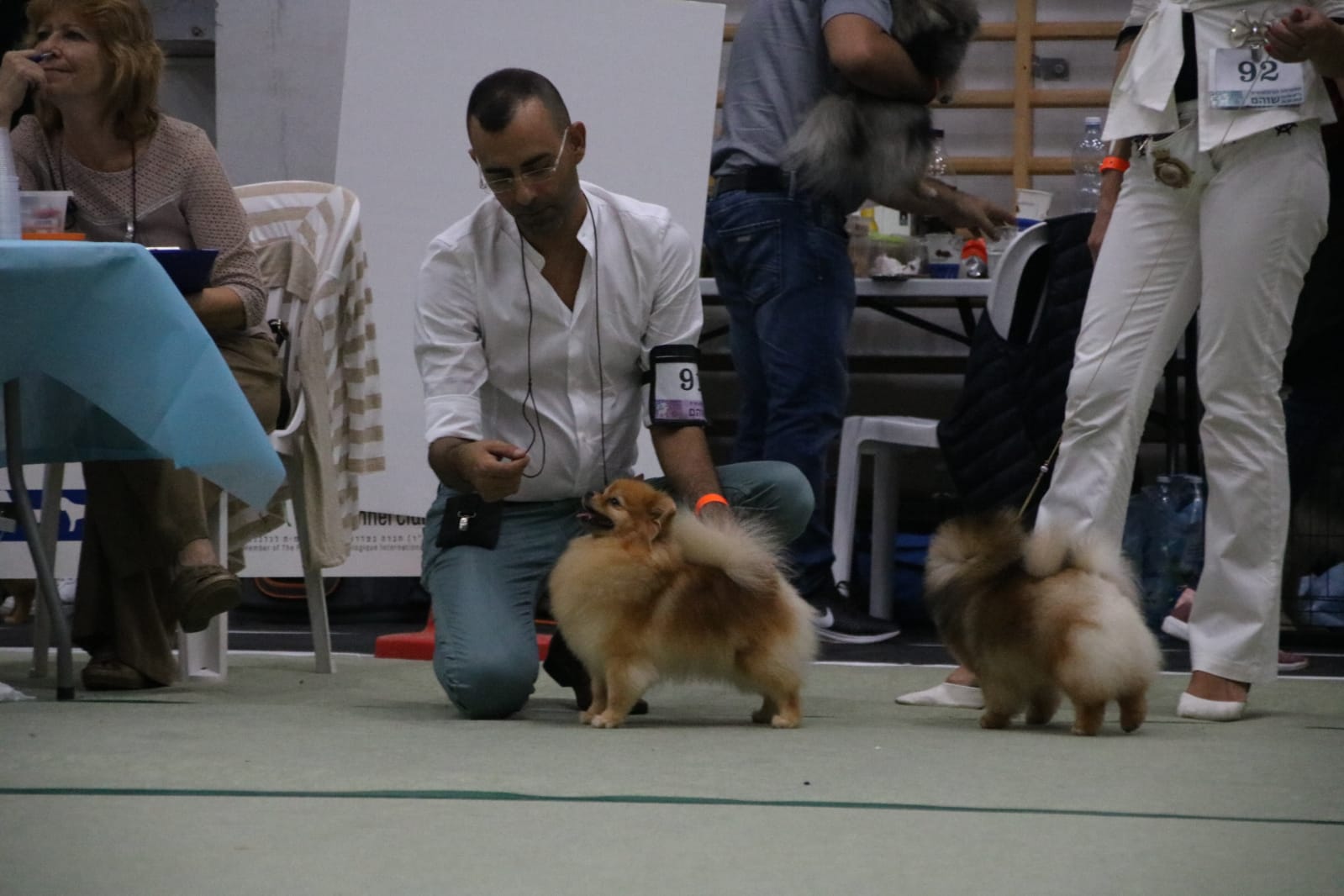 אלדד שרון מציג כלב בתערוכת כלבים